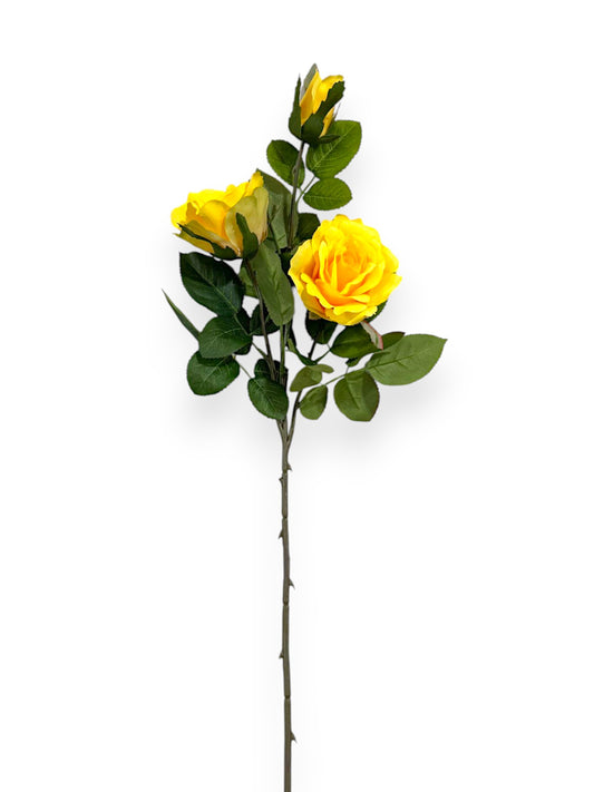 ROSE SPRAYX3 32"