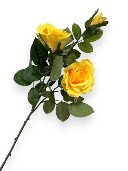 ROSE SPRAYX3 32"