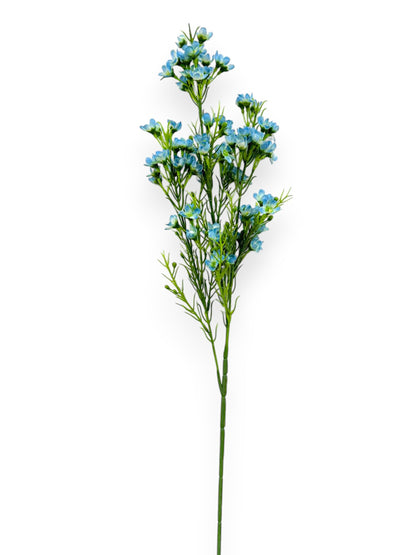 WINTERSWEET SPRX3 26"