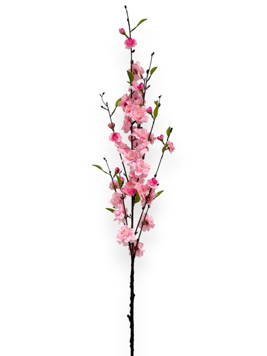 CHERRY BLOSSOM 38"