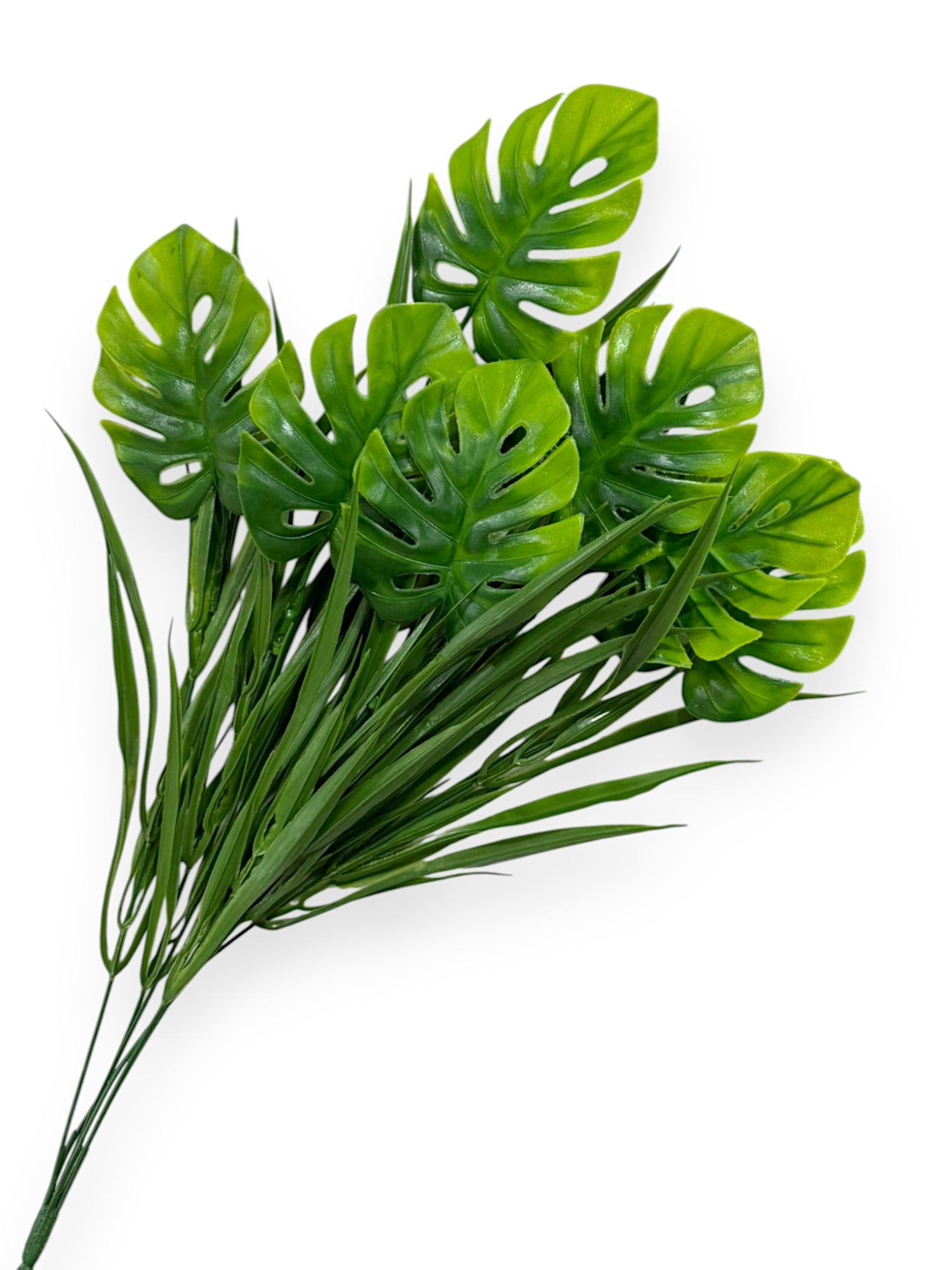 MONSTERA BUSHX7 25"