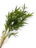 GREENERY BUSHX8 26"