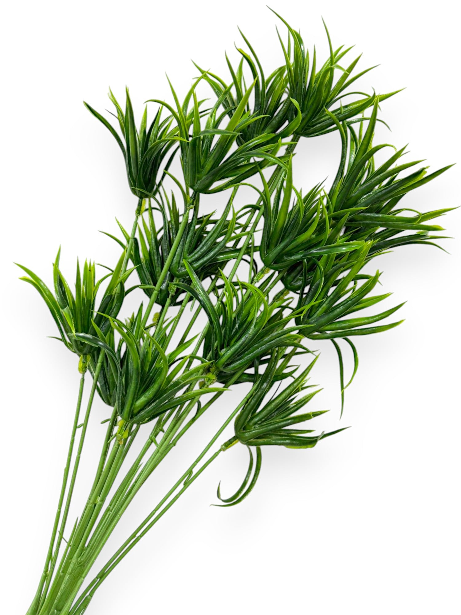GRASS BUSHX18 26"