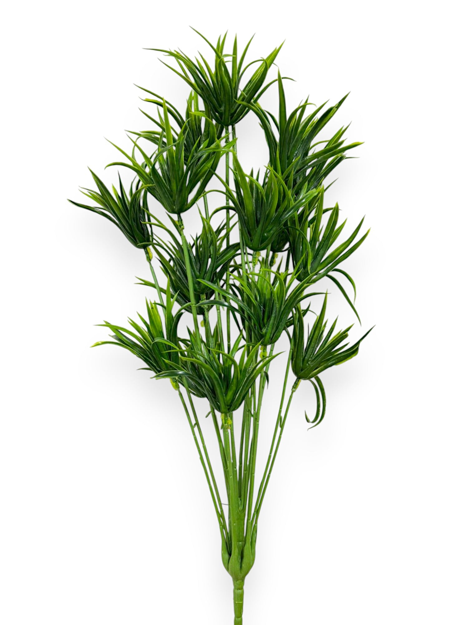 GRASS BUSHX18 26"