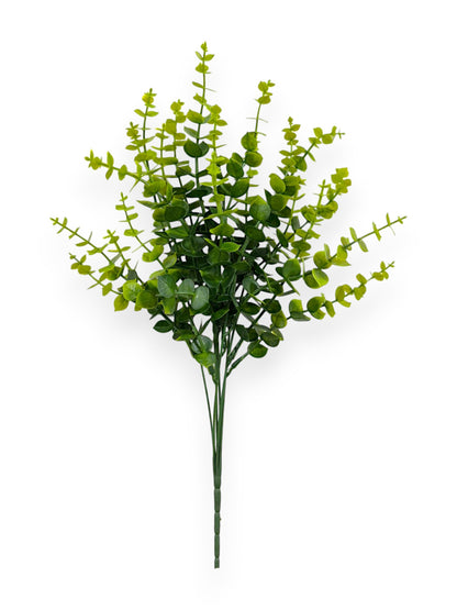 EUCALYPTUS BHX7