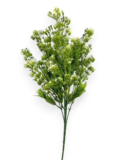 GREENERY BHX6 GYPSO