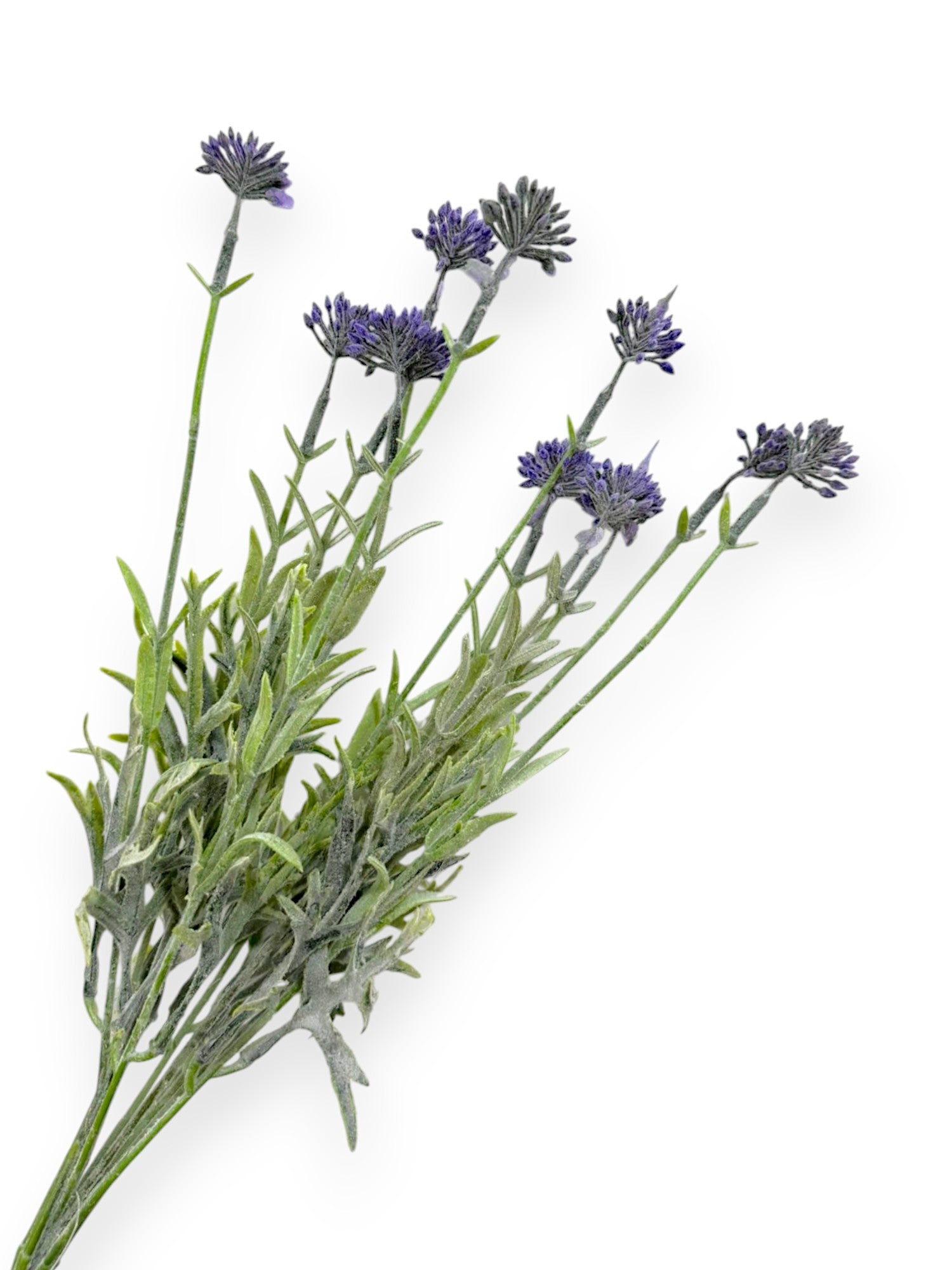GRASS BUSH FLSX12