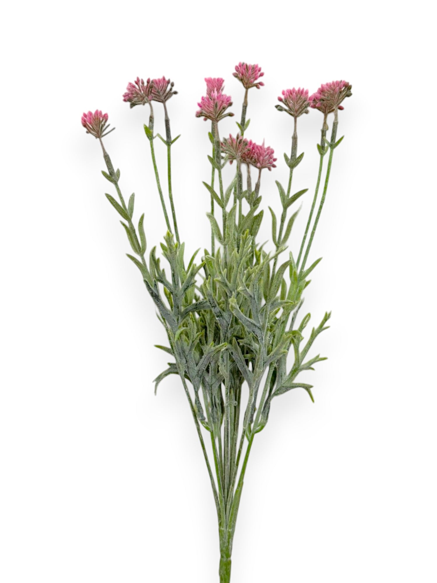 GRASS BUSH FLSX12
