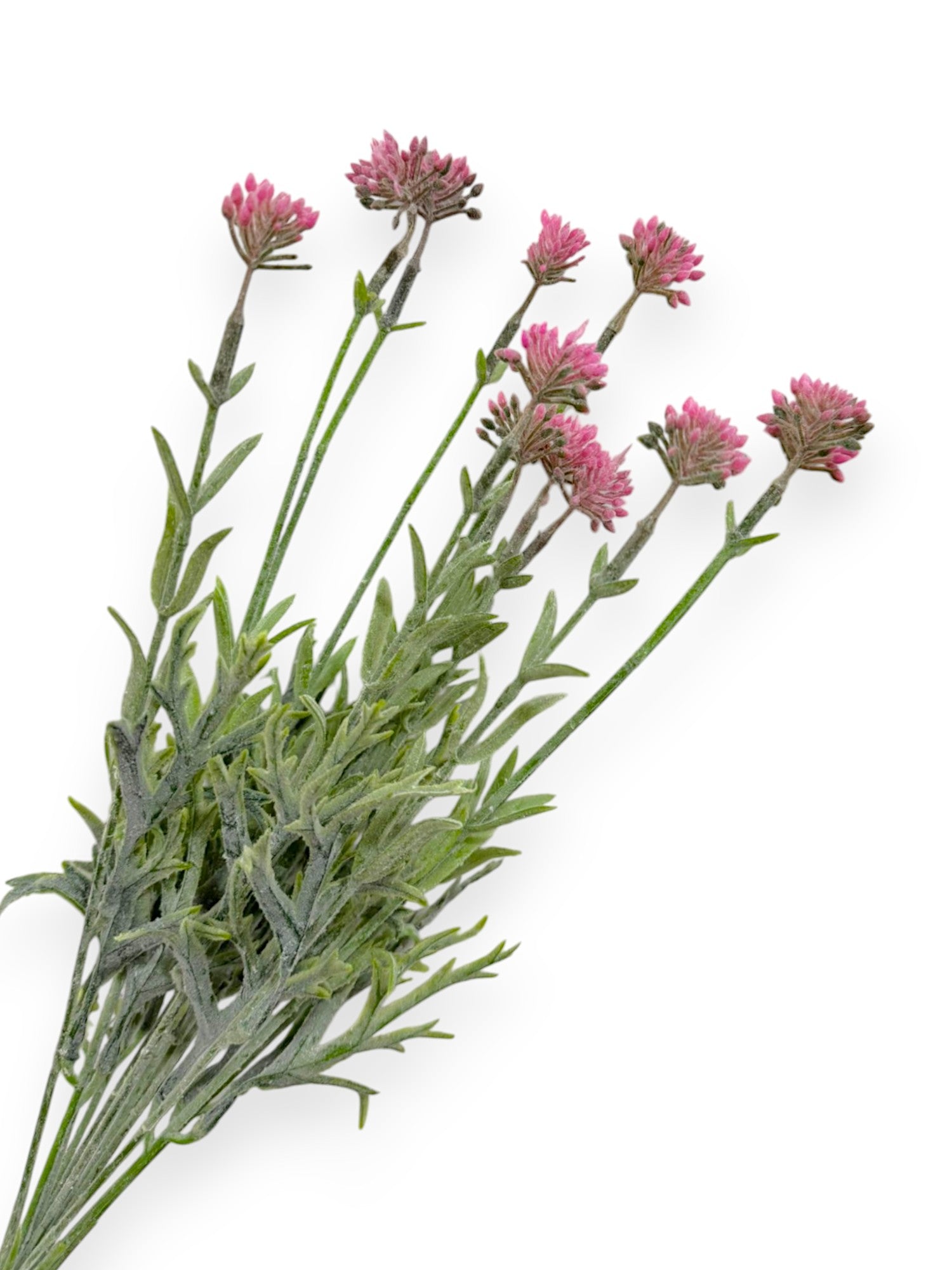 GRASS BUSH FLSX12