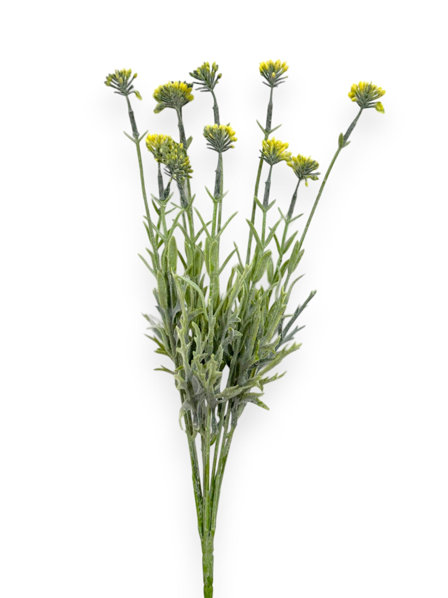 GRASS BUSH FLSX12