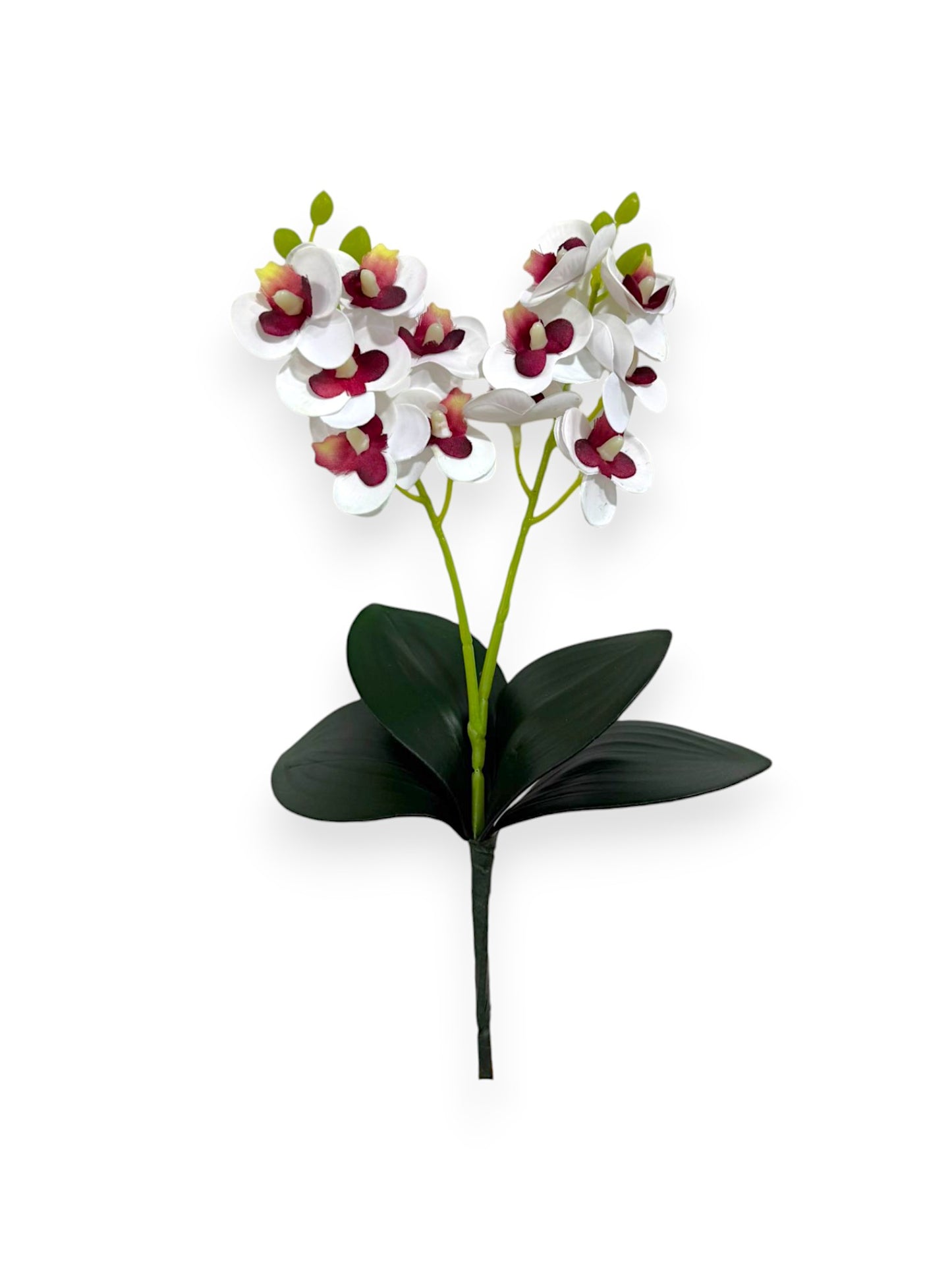 MINI PHAL X2 W/LVS