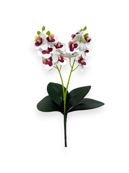 MINI PHAL X2 W/LVS
