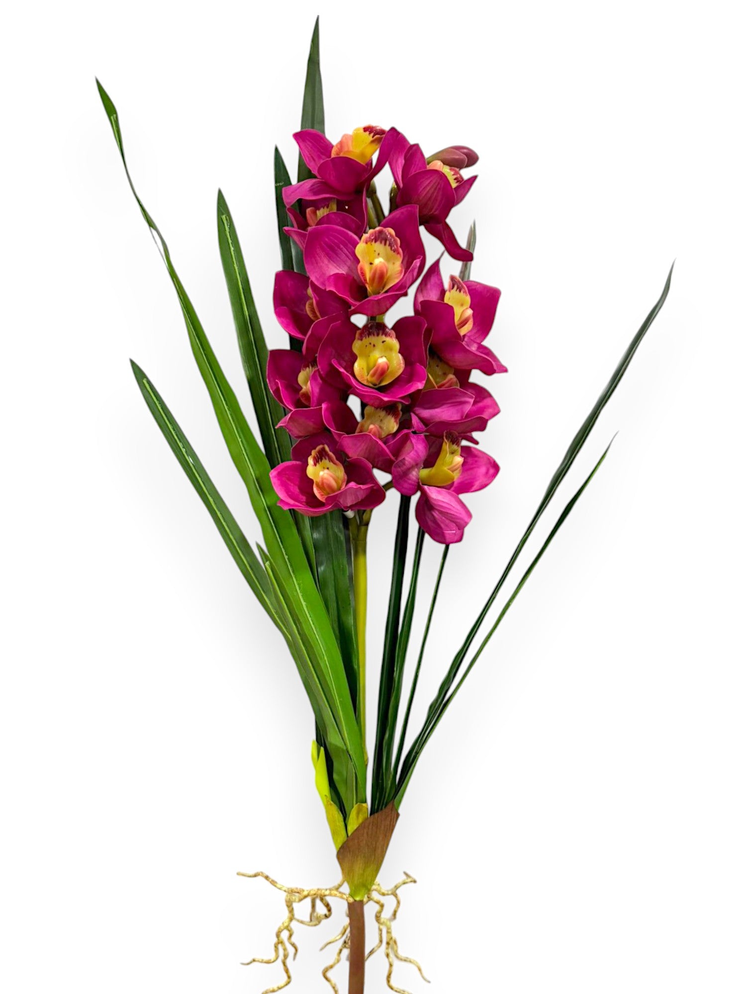 CYMB. PLANT X 12F3B 27"