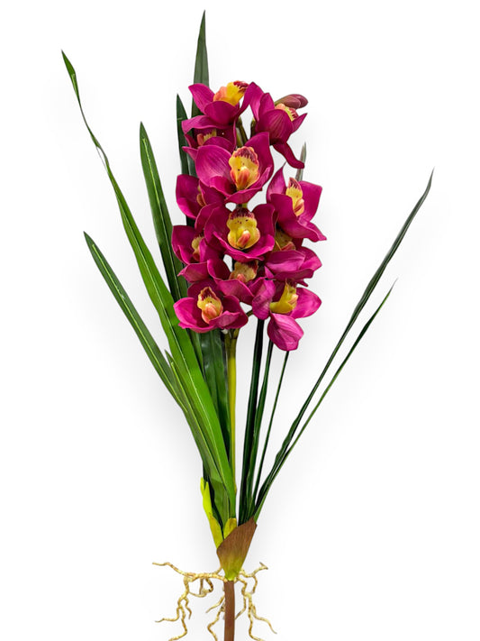 CYMB. PLANT X 12F3B 27"