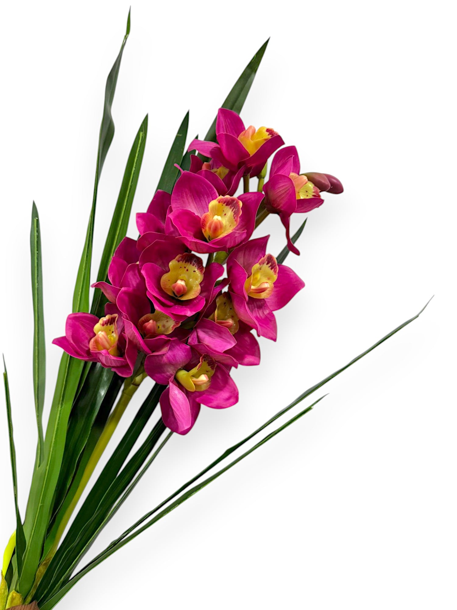 CYMB. PLANT X 12F3B 27"