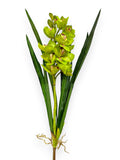 CYMB. PLANT X 12F3B 27"