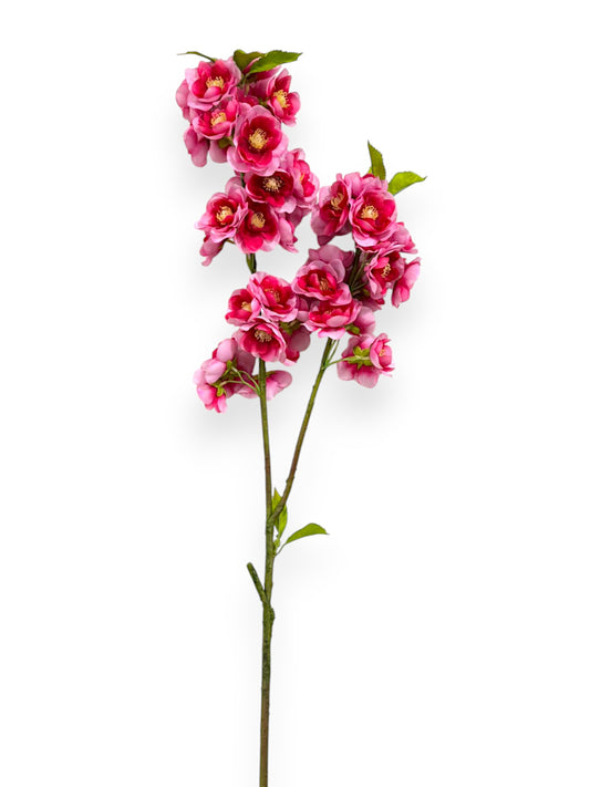 CHERRY BLOSSOM 33"