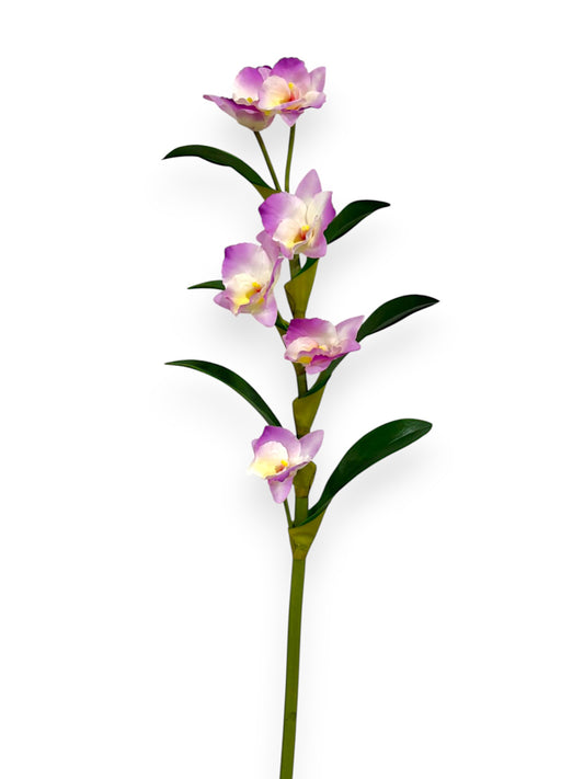 DENDROBIUM NOBILE 21"