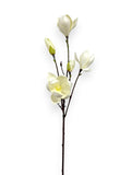 MAGNOLIA TREE SPR 28.5"