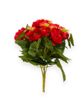 BEGONIA BHX7 9.8"