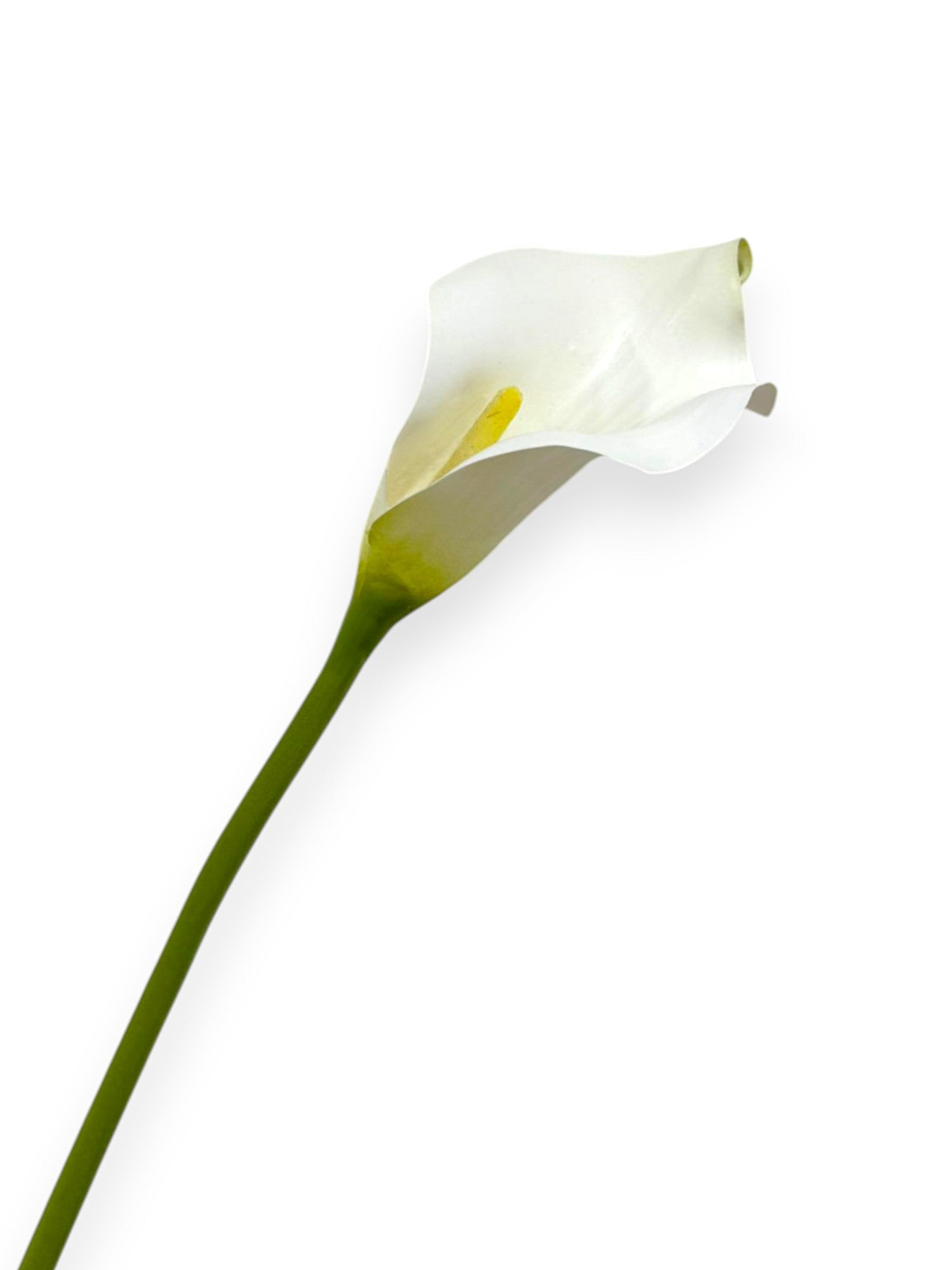 Calla Lily Stem 20"