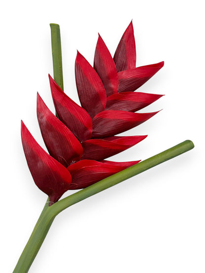 HELICONIA UV 32"