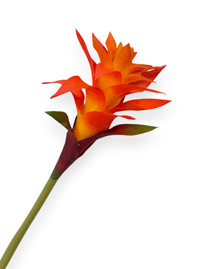 BROMELIAD 23"