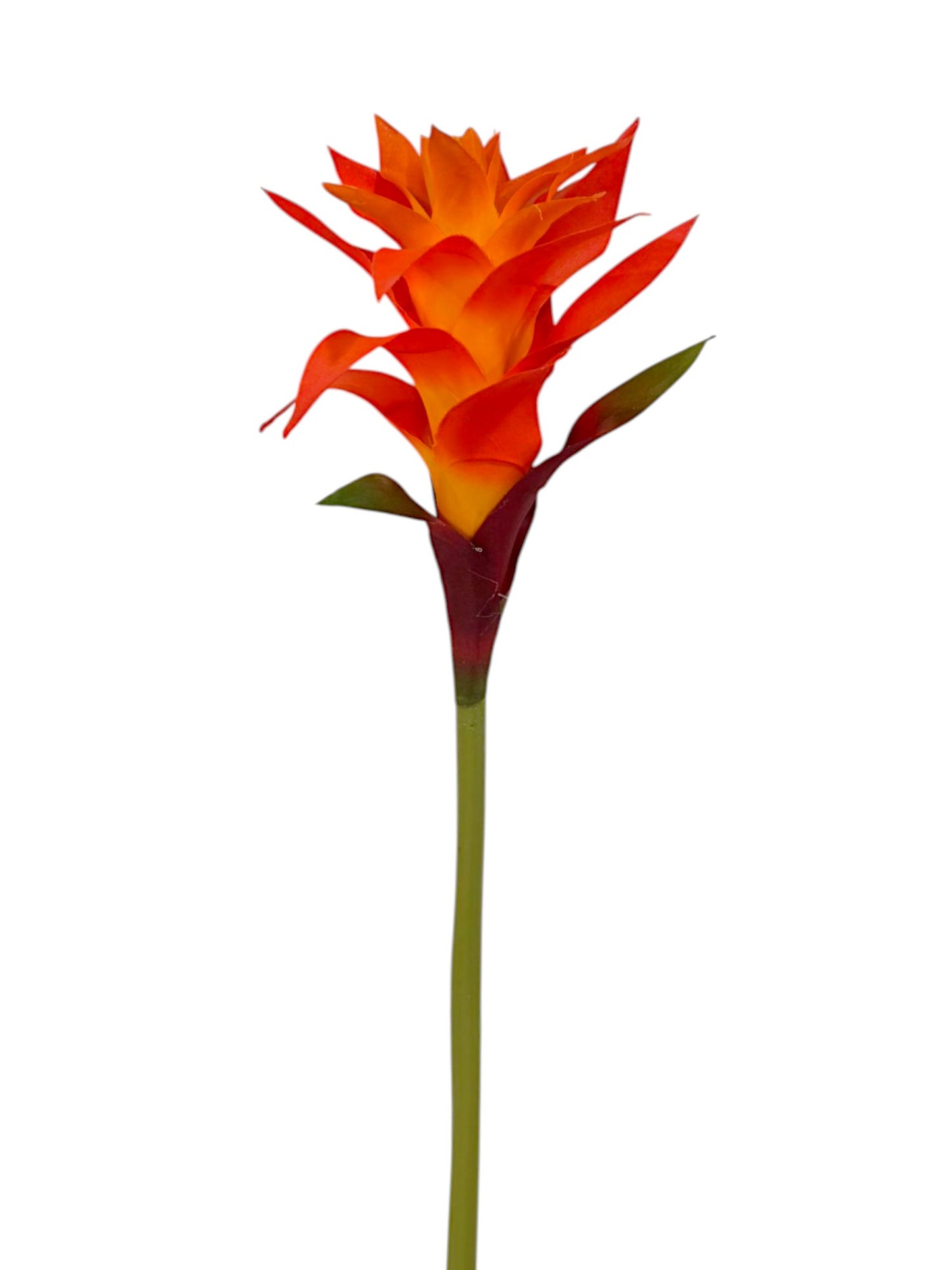 BROMELIAD 23"