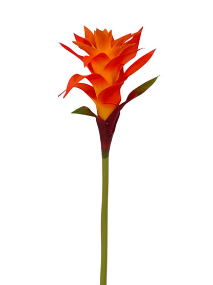 BROMELIAD 23"