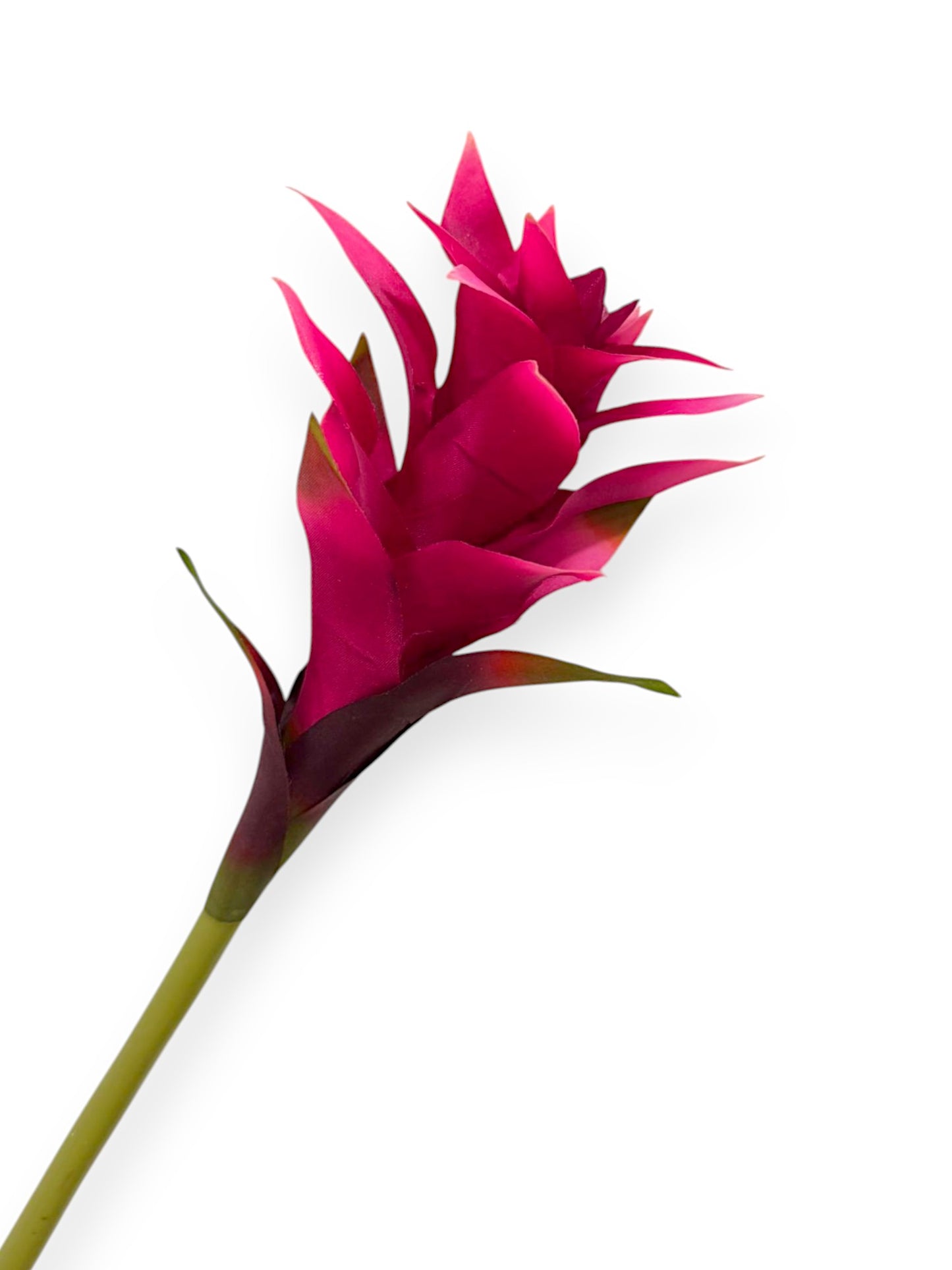 BROMELIAD 23"