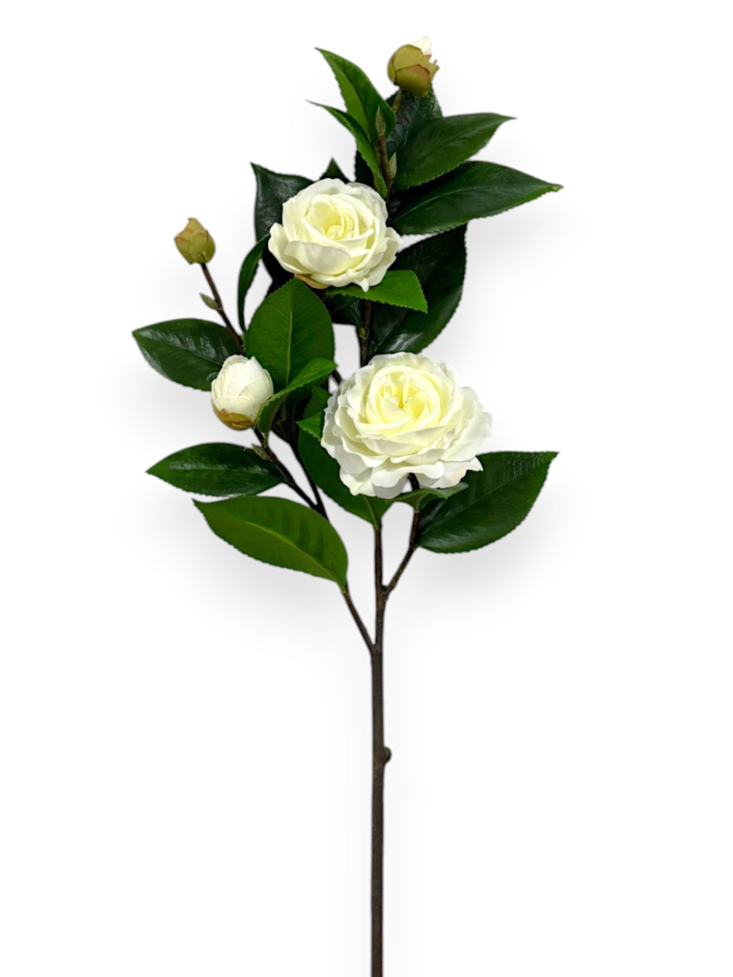 CAMELLIA SPRAY 28"