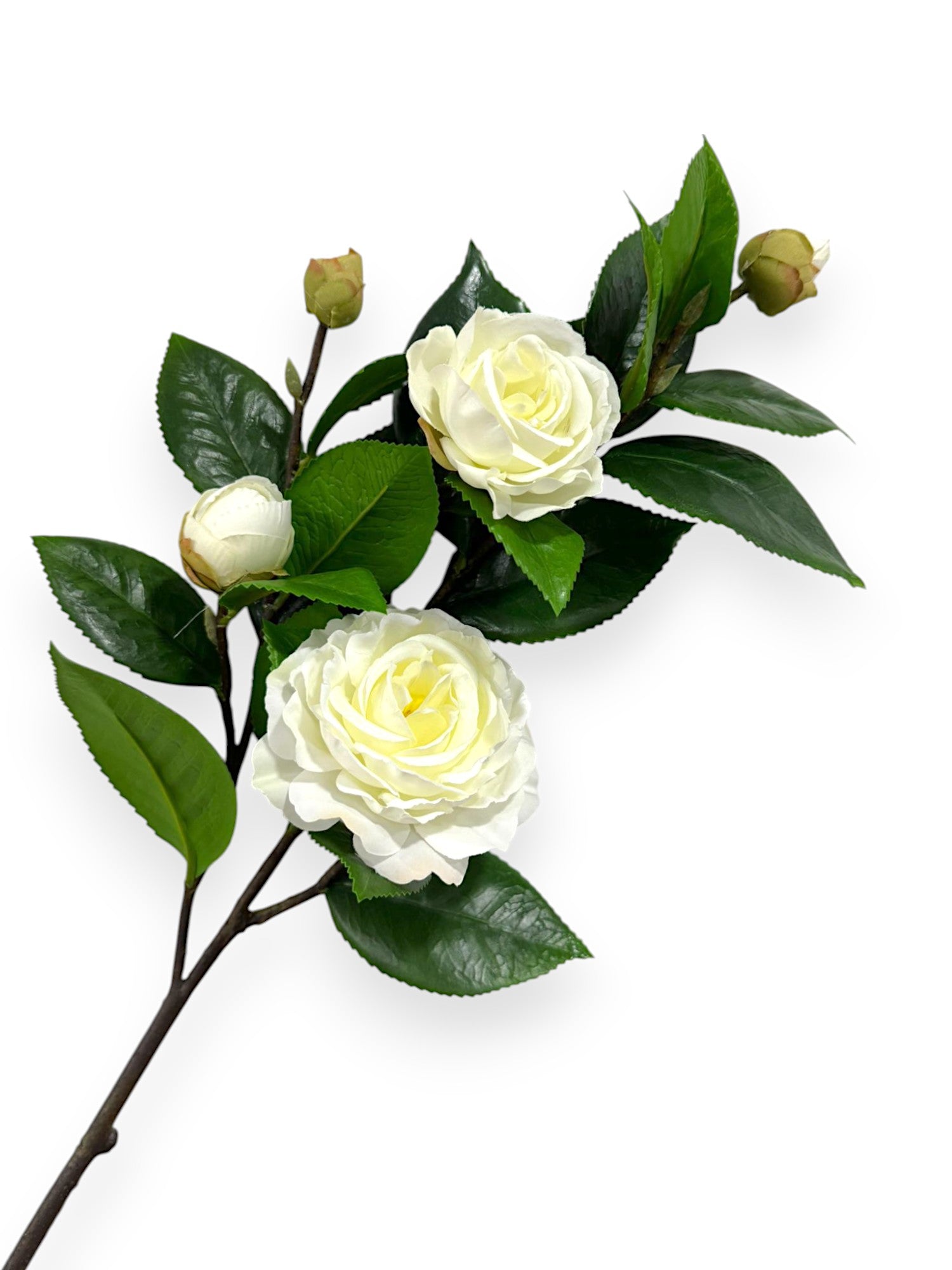 CAMELLIA SPRAY 28"