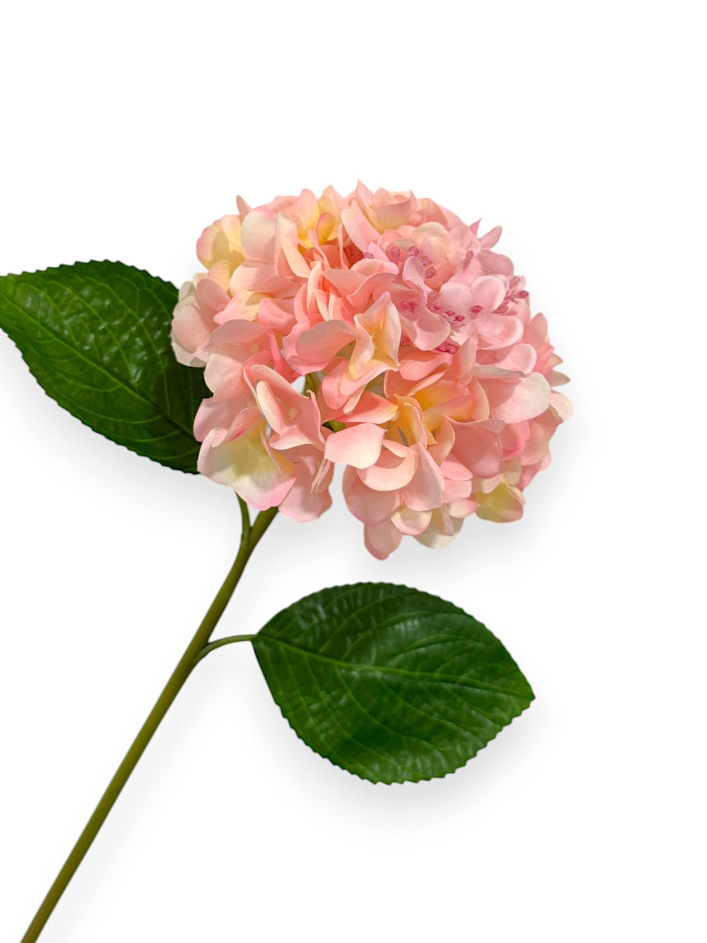 RT. HYDRANGEA STEM 21"