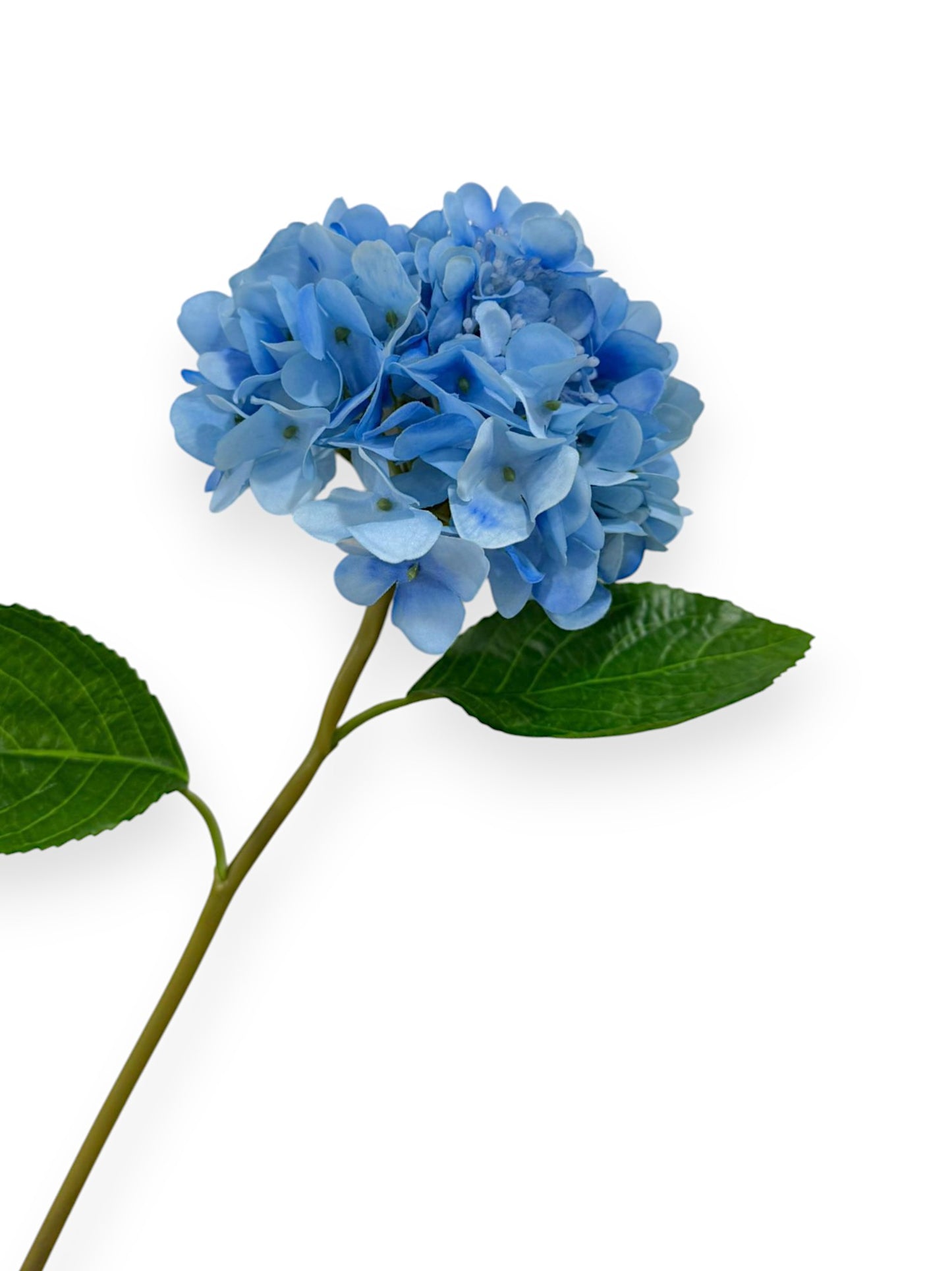 RT. HYDRANGEA STEM 21"