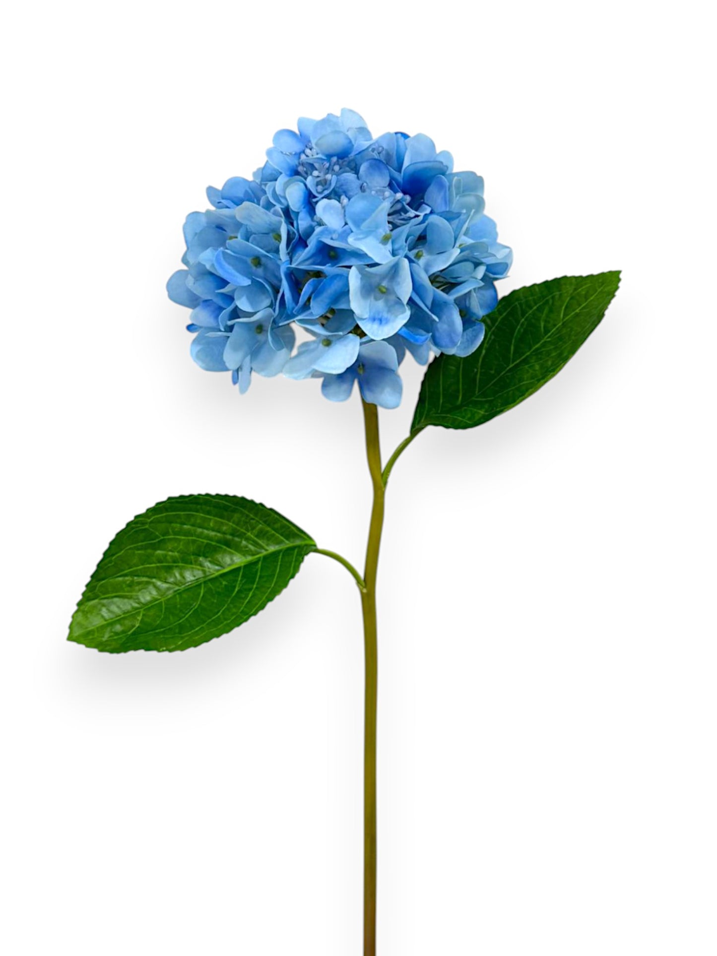 RT. HYDRANGEA STEM 21"