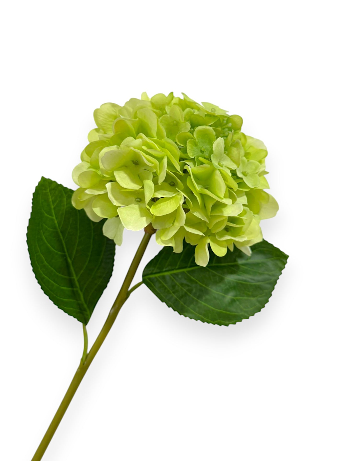 RT. HYDRANGEA STEM 21"