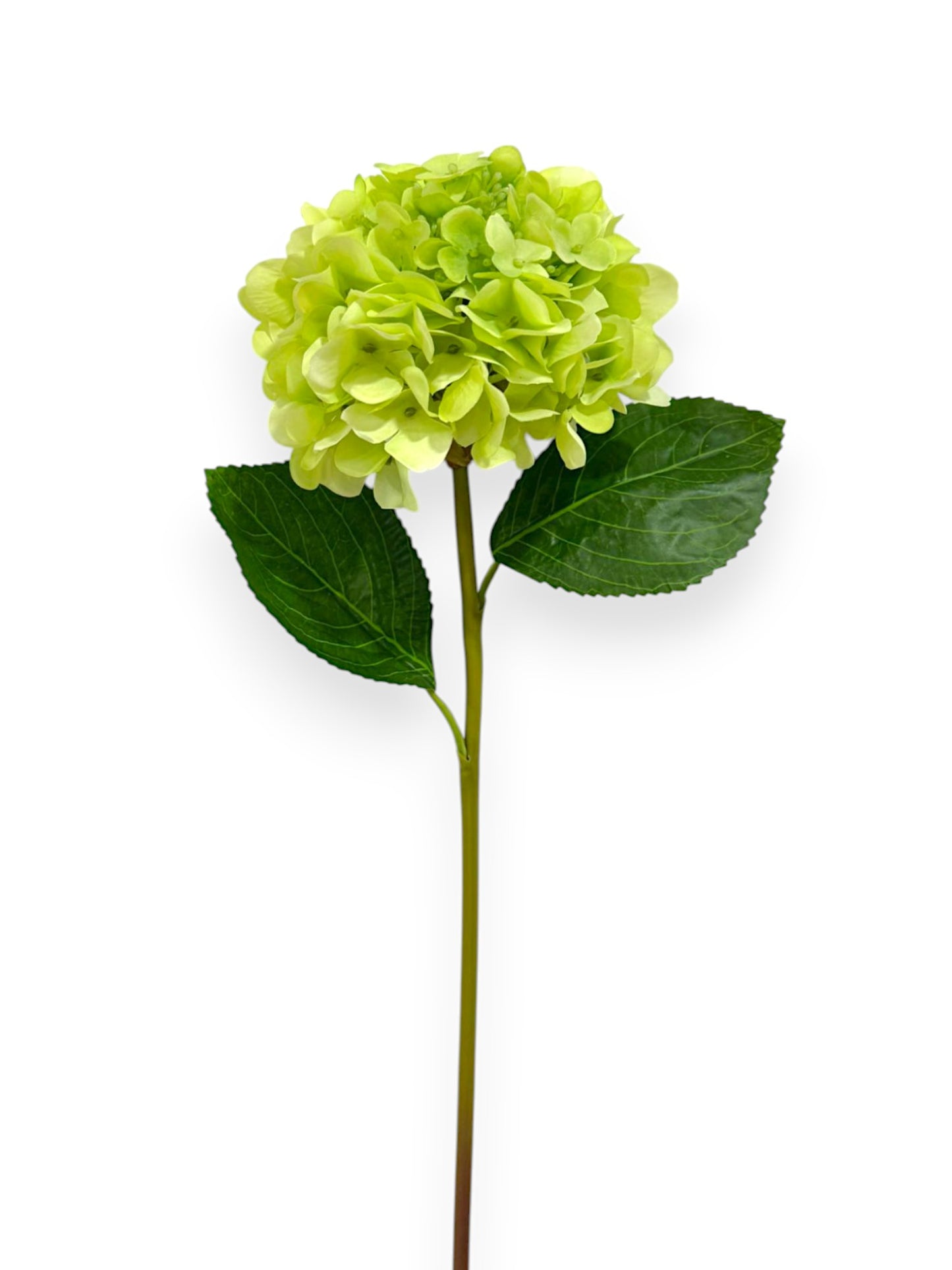 RT. HYDRANGEA STEM 21"