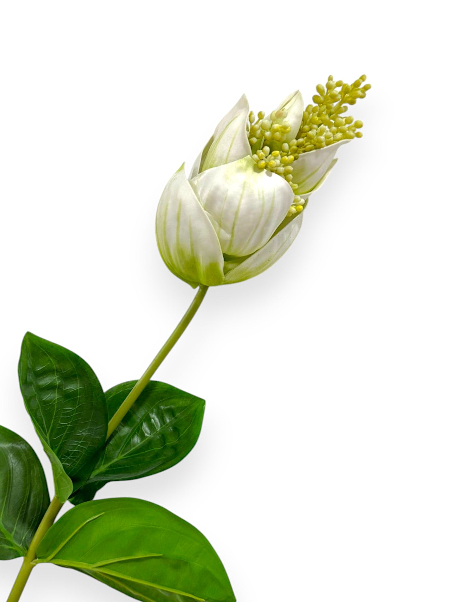 medinilla magnifica flower seeds MEDINILLA MAGNIFICA 32" – Chan's Silk Flowers, inc