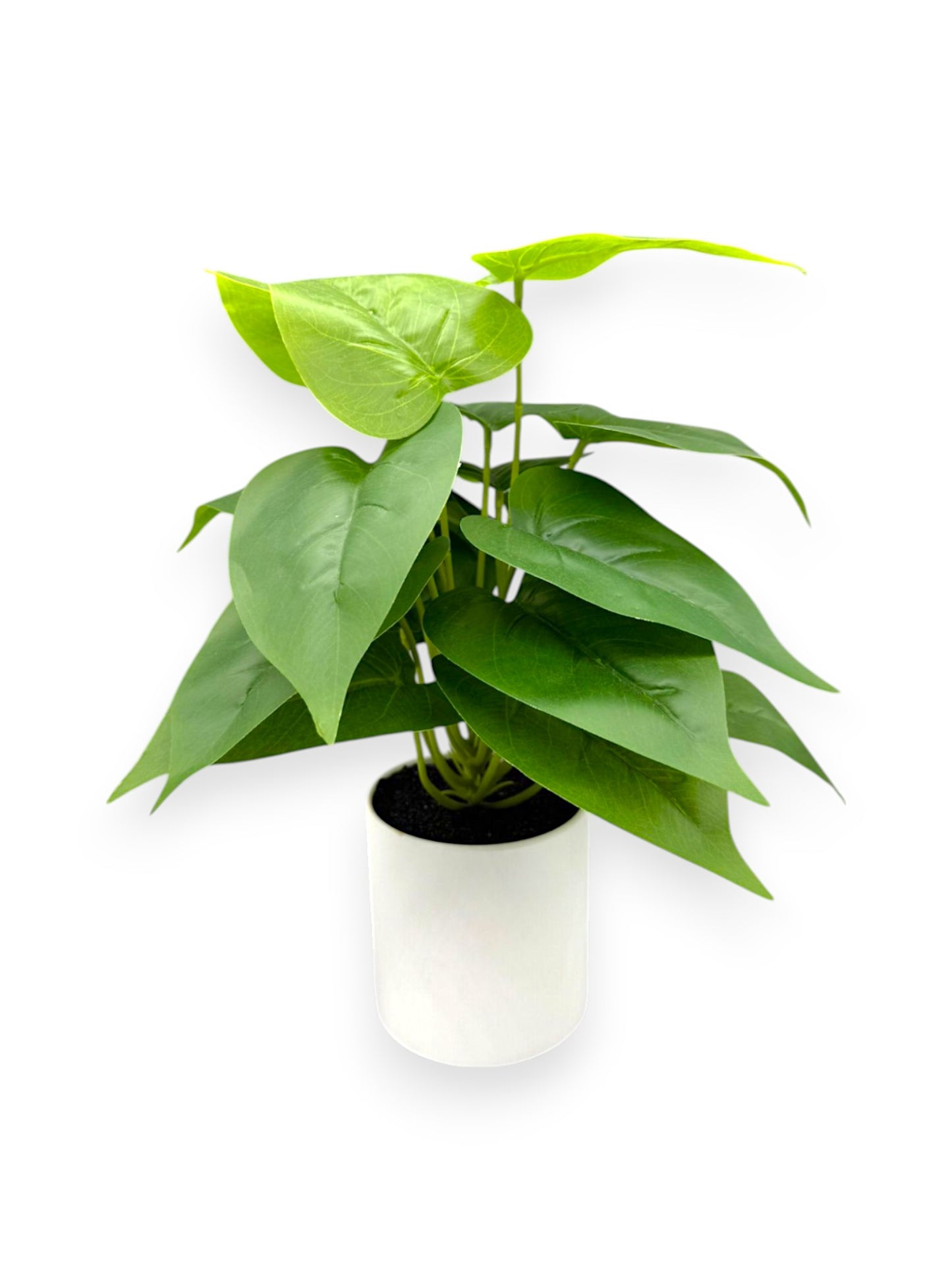 ALOCASIA LEAF 13"