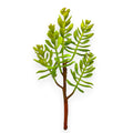 SUCCULENT PLANT X5 13"