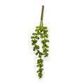 SUCCULENT SEDUM 9"