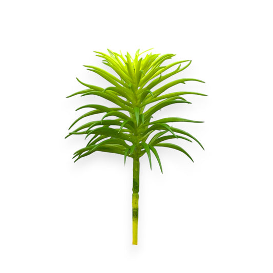 SUCCULENT SENECIO PICK 5"