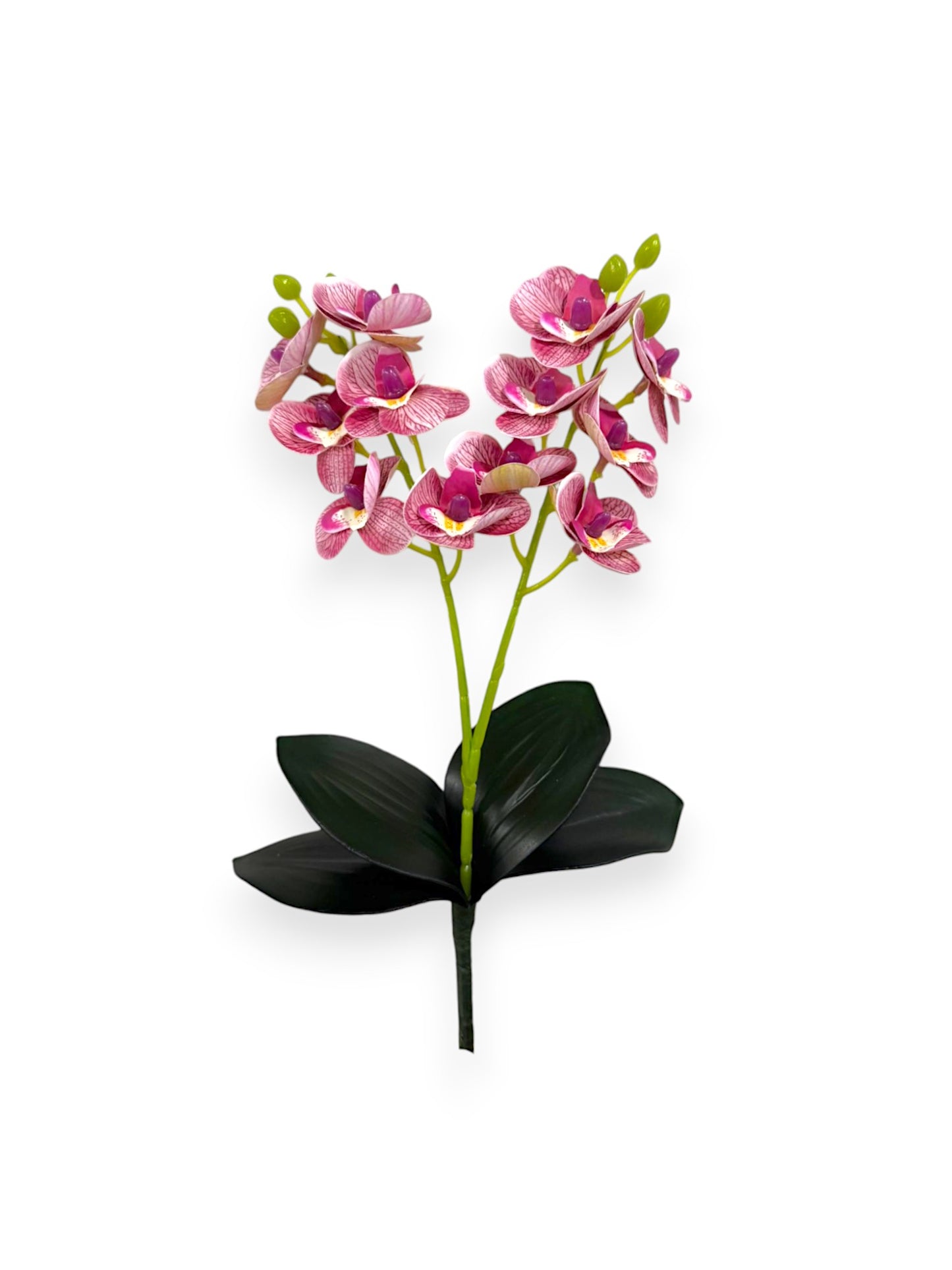 MINI PHAL X2 W/LVS