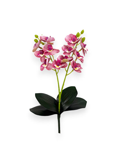 MINI PHAL X2 W/LVS