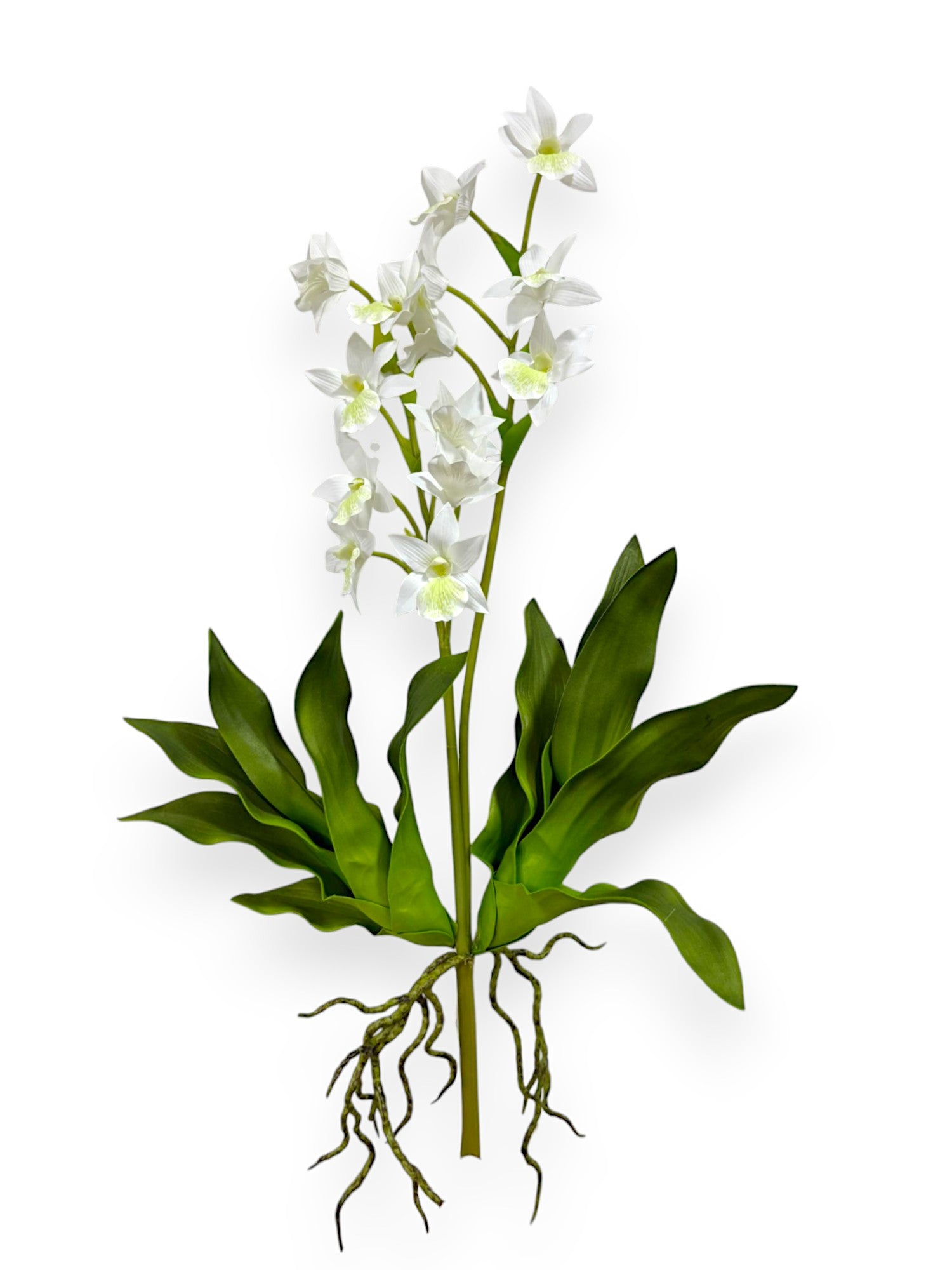 ORCHID DENDROBIUM 22"