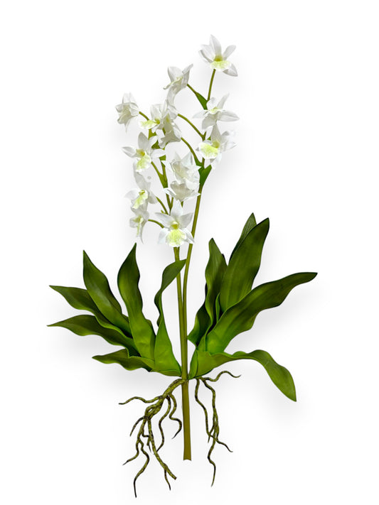 ORCHID DENDROBIUM 22"