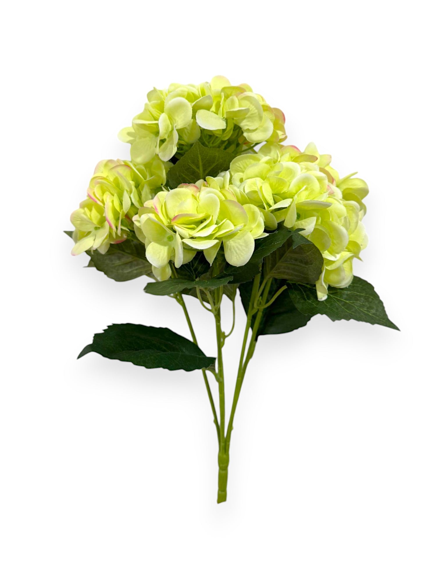 HYDRANGEA BUSH X5 16"