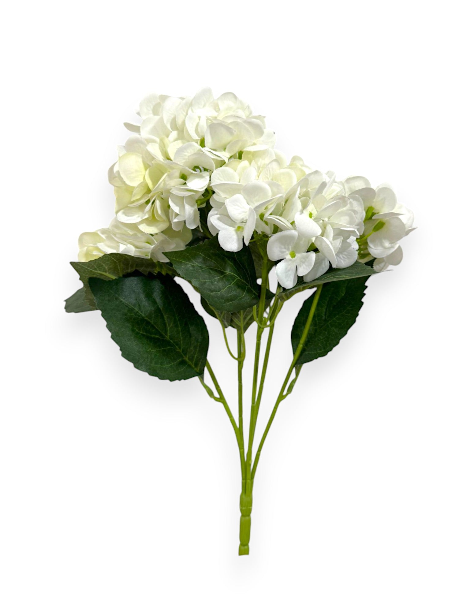 HYDRANGEA BUSH X5 16"