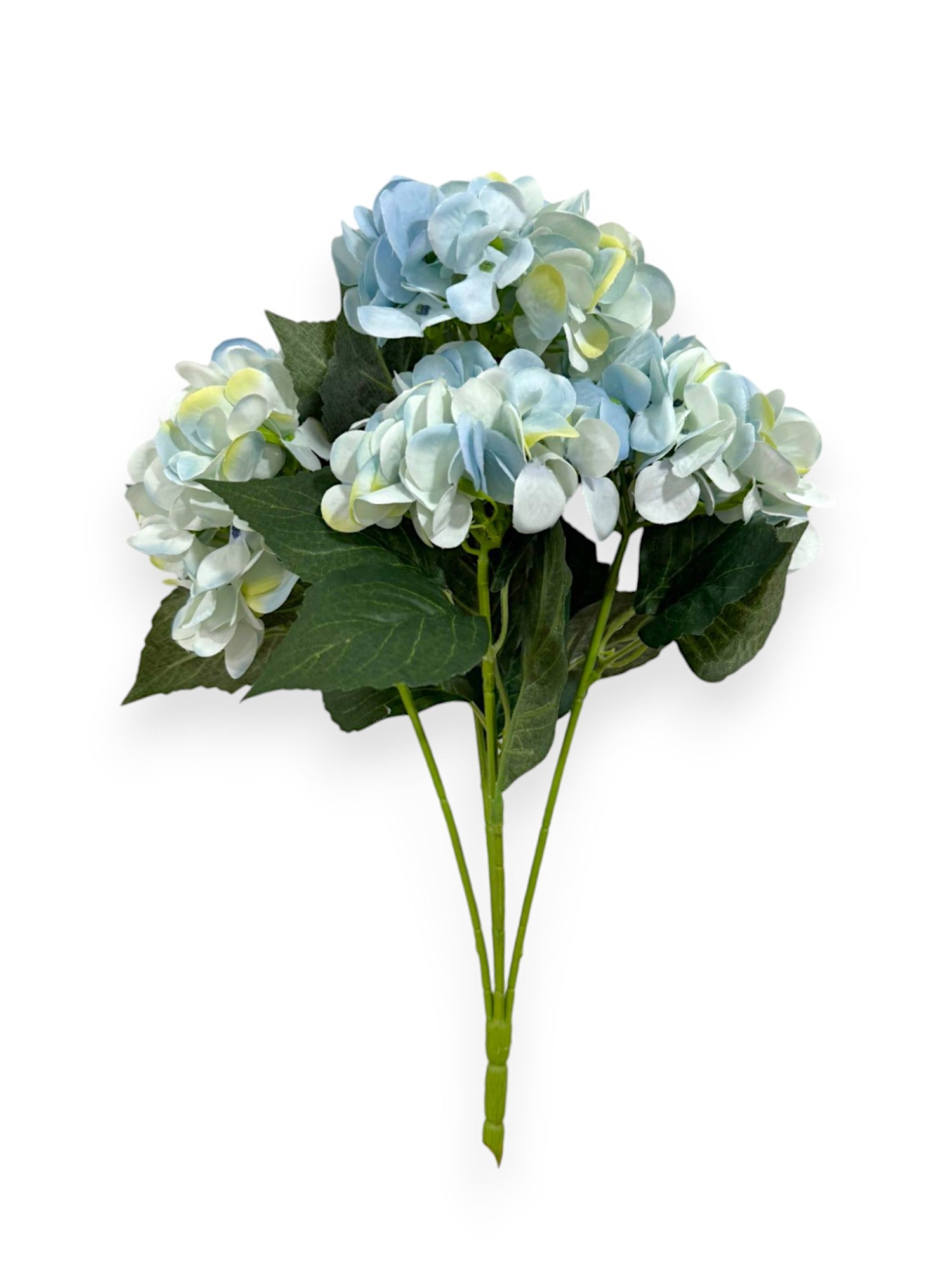 HYDRANGEA BUSH X5 16"