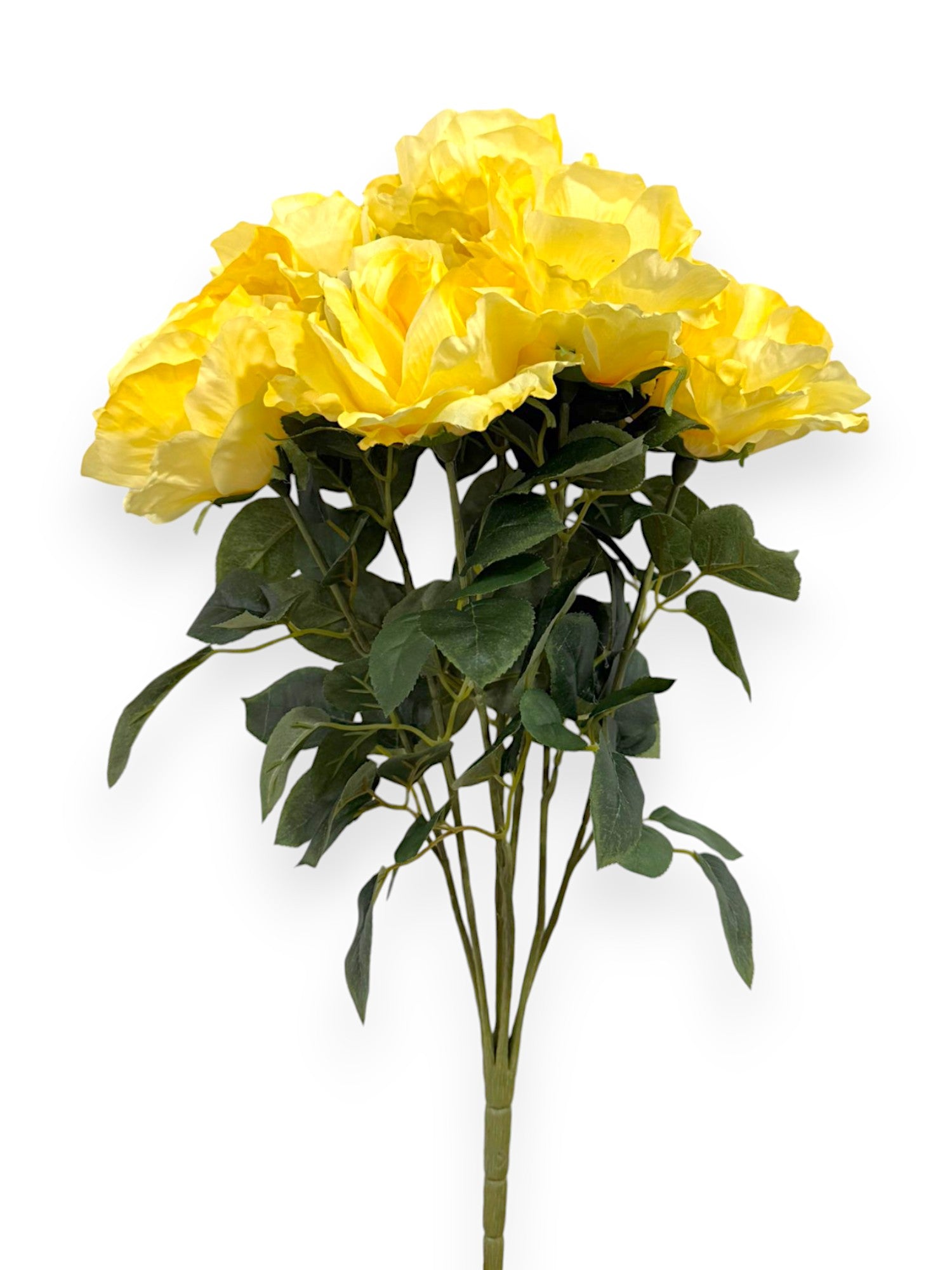 ROSE BUSH X7 22"